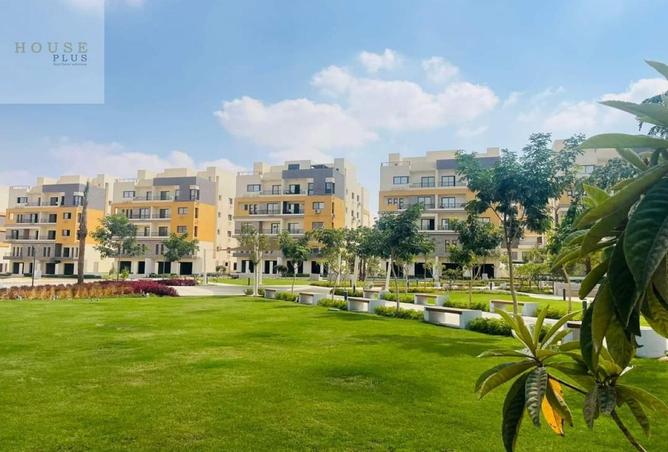 8438226 - Property Image 3