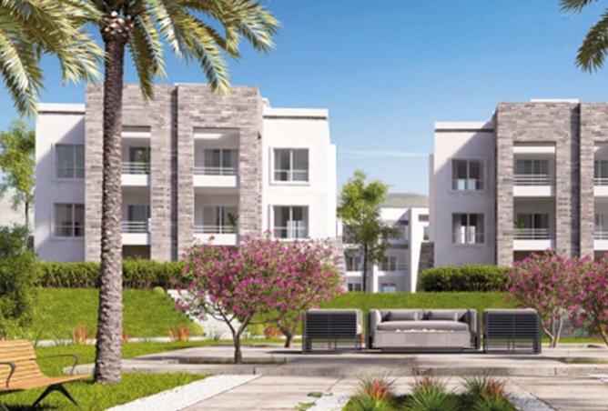 7906361 - Property Image 3