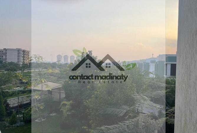 8197324 - Property Image 3