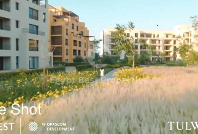 8236017 - صورة العقار 2