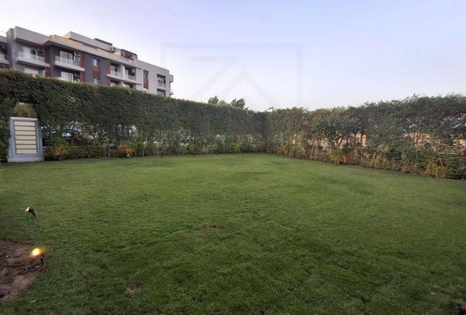 7920946 - صورة العقار 2