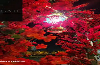 كافتيريا - استوديو - 1 حمام للبيع في الحي التاسع - الشيخ زايد - الجيزة