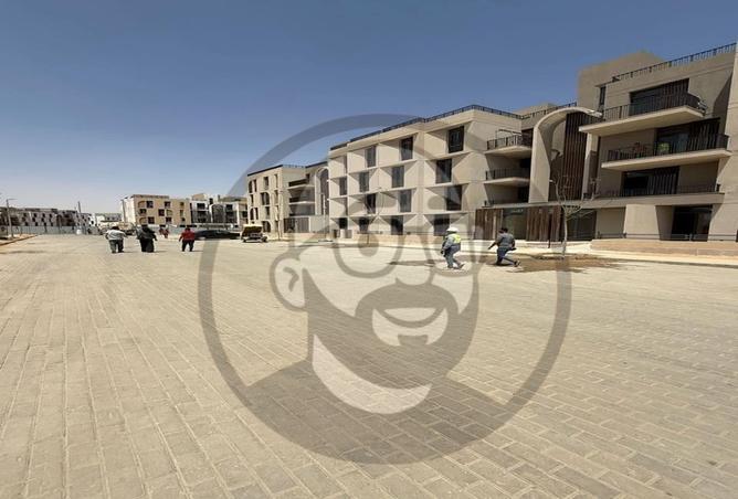 7974507 - Property Image 3