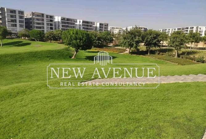 8105487 - Property Image 3