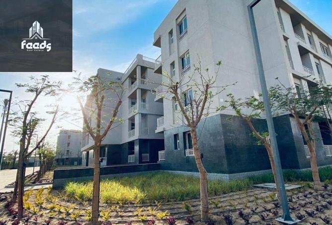 8254470 - Property Image 3