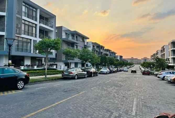 8471779 - Property Image 3