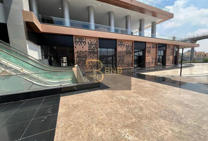 8117686 - Property Image 2