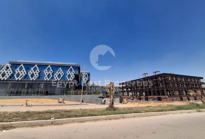 8242230 - صورة العقار 3