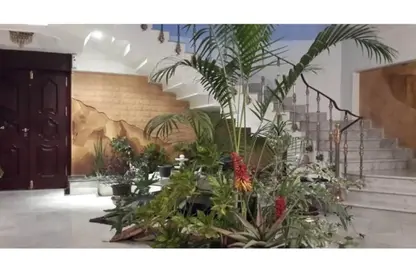 دوبلكس - 3 غرف نوم - 3 حمامات للبيع في شارع علي امين - المنطقة الأولى - مدينة نصر - القاهرة دوبلكس - 3 غرف نوم - 3 حمامات للبيع في شارع علي امين - المنطقة الأولى - مدينة نصر - القاهرة