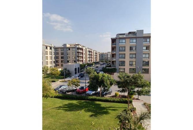 8351275 - Property Image 3