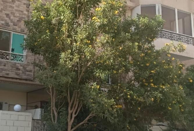 8256166 - صورة العقار 2