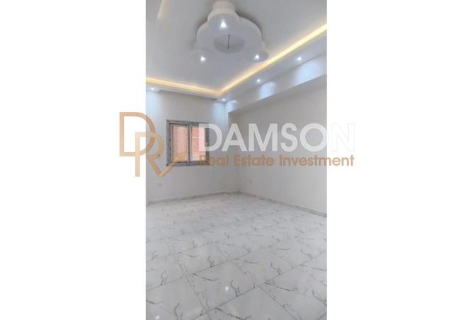 7813674 - Property Image 3
