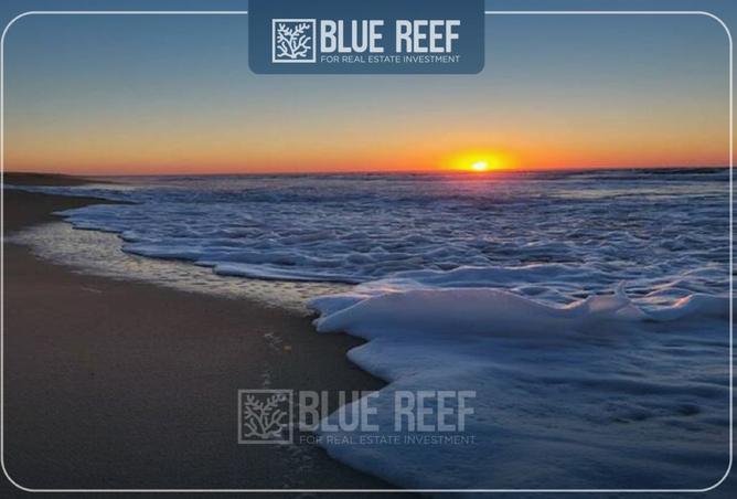 8405869 - صورة العقار 3