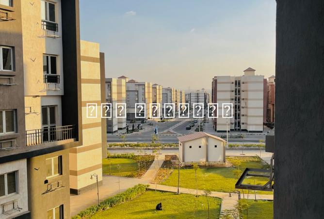 8049539 - الصورة الرئيسية للعقار