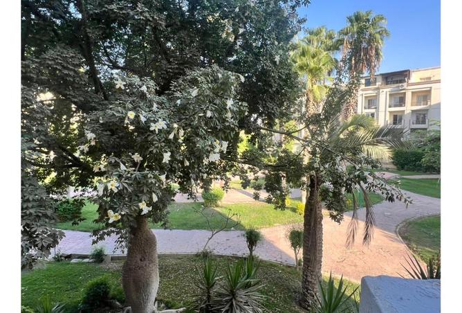 8187802 - Property Main Image