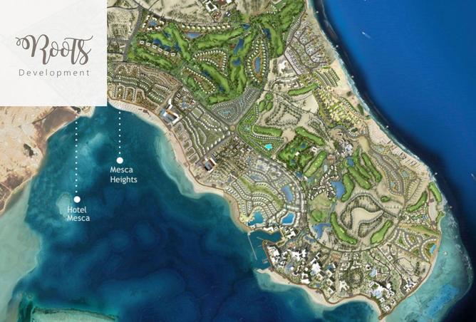 8195461 - Property Image 3