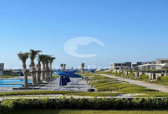 7971228 - صورة العقار 3