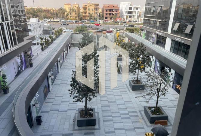 8055134 - صورة العقار 3