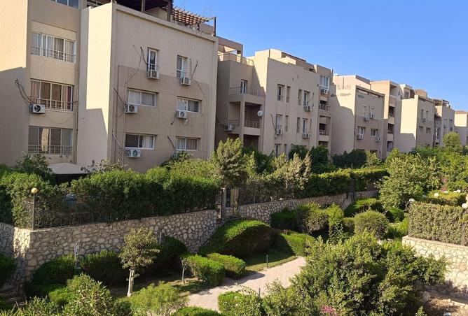 7885533 - Property Image 2