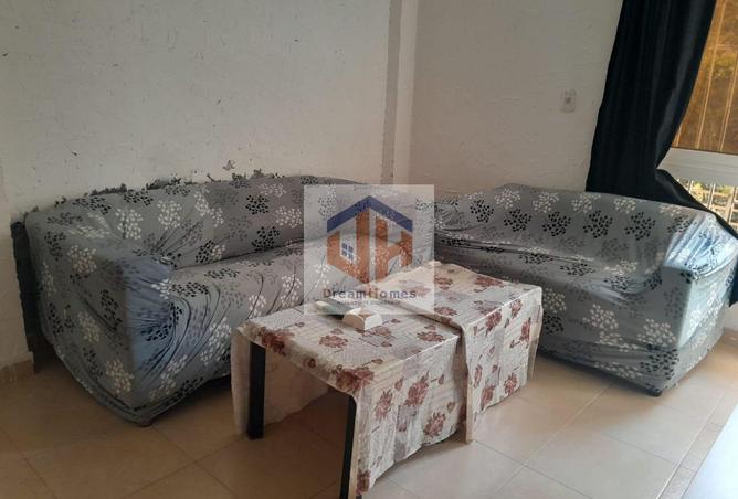 8259355 - Property Image 3