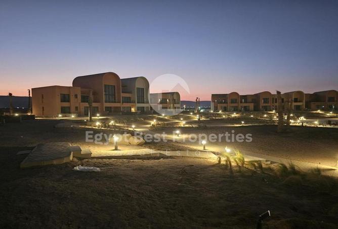 8036736 - Property Image 3