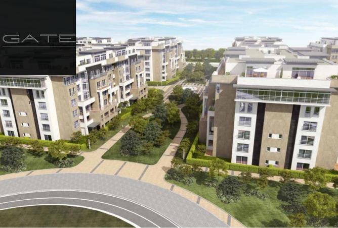 8326715 - Property Image 3