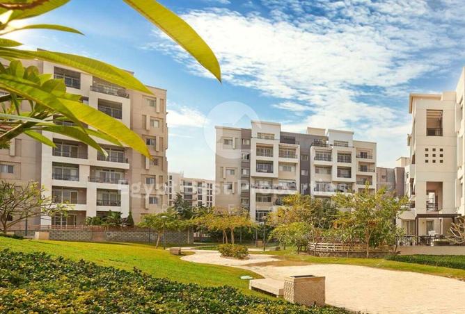 8303589 - صورة العقار 2