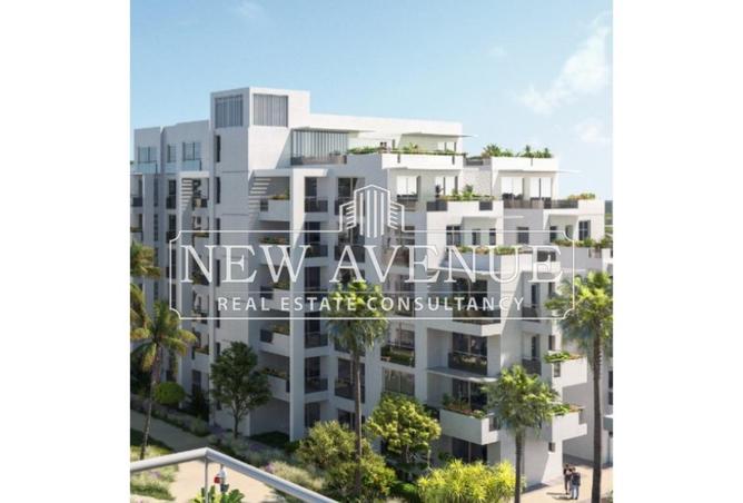 7921694 - Property Image 3
