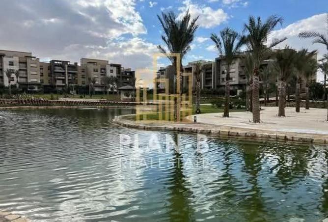 7923942 - صورة العقار 3