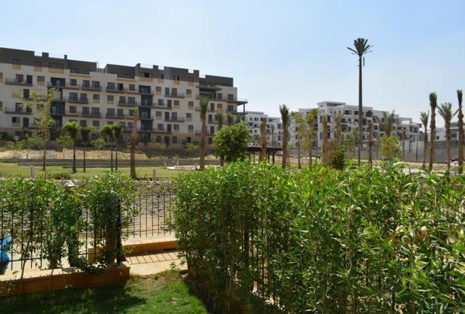 8262106 - Property Image 2