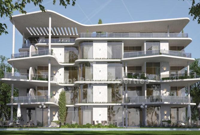 7906847 - Property Image 2