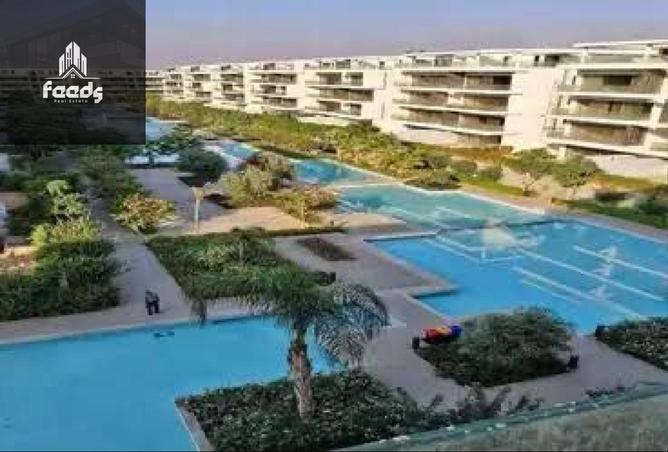 7994599 - Property Image 3