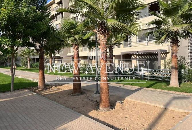 8398929 - Property Image 2