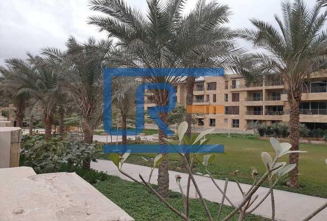 7980198 - صورة العقار 3
