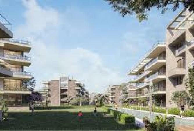 7932072 - Property Image 3