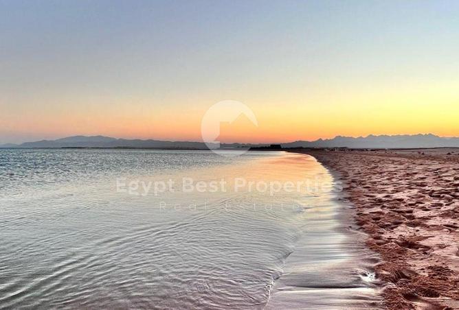 7958258 - صورة العقار 2
