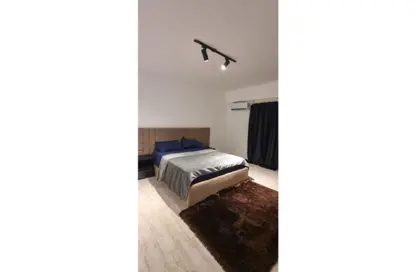 شقة - غرفة نوم - 1 حمام للايجار في المستثمر الصغير - الحي العاشر - الشيخ زايد - الجيزة