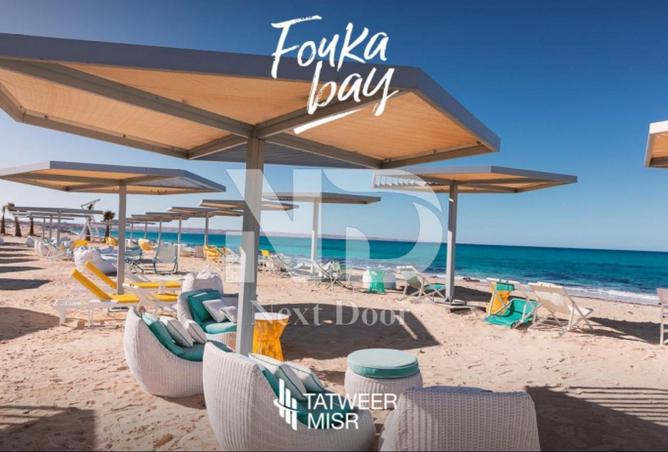 7781255 - Property Image 3