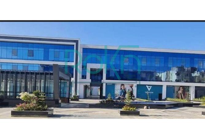 8387669 - Property Image 3