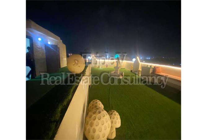 7987201 - Property Image 3