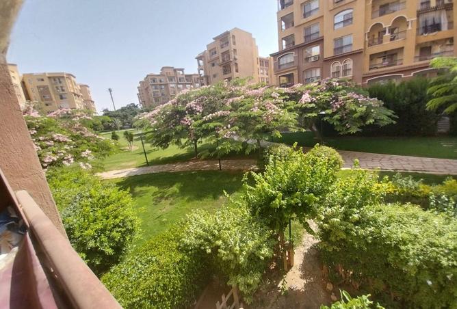 8204743 - الصورة الرئيسية للعقار