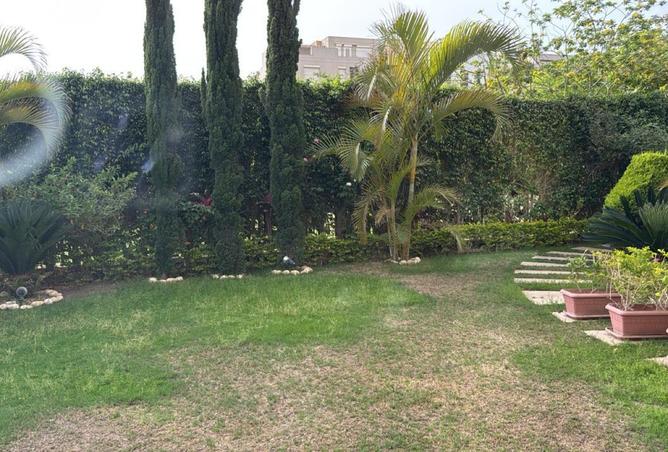 8041277 - صورة العقار 3