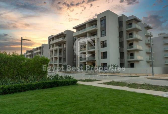 8271337 - Property Image 3