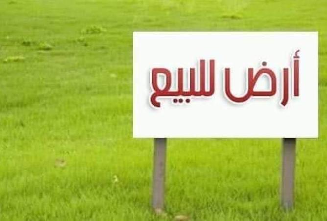 8264237 - صورة العقار 2