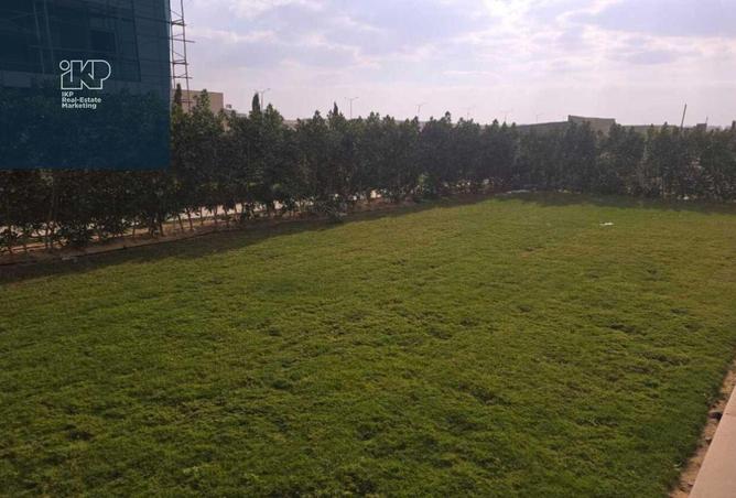 8136568 - Property Image 2