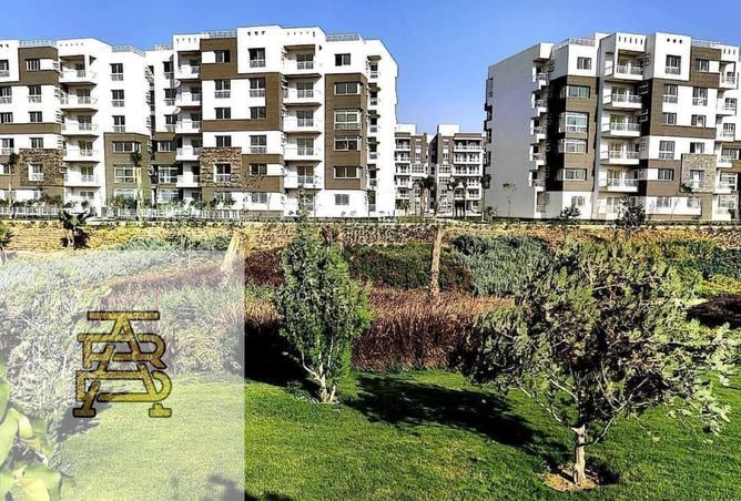 8031824 - صورة العقار 2