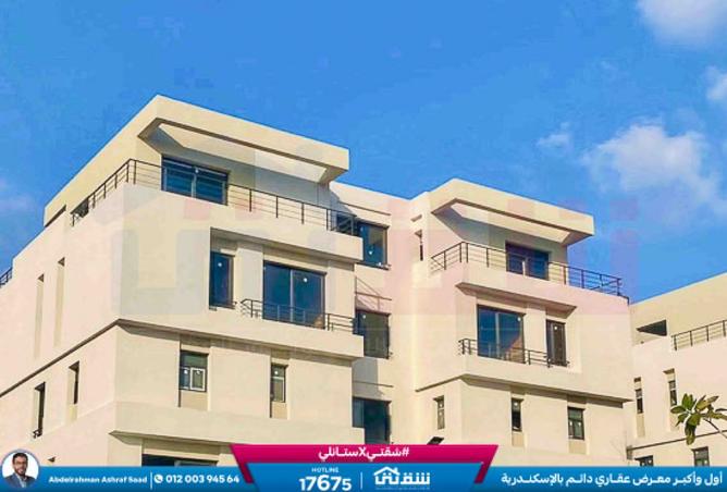 8423469 - Property Image 3