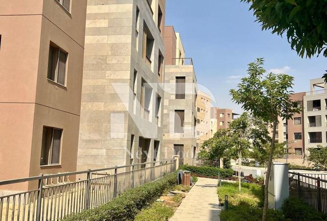 7748906 - Property Image 3