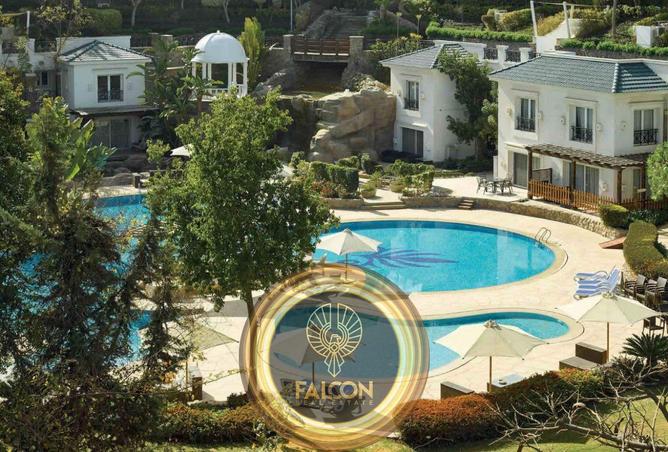 8317302 - صورة العقار 2