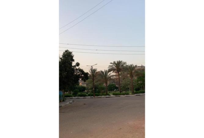 7981241 - صورة العقار 2